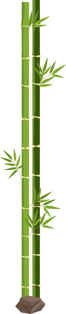 bamboo