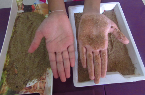 Step 3 Image